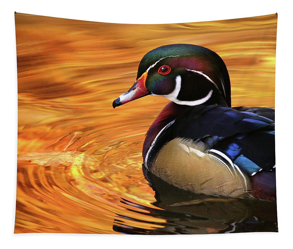  Tapestry featuring the photograph Autumn Wood Duck by Rob Blair