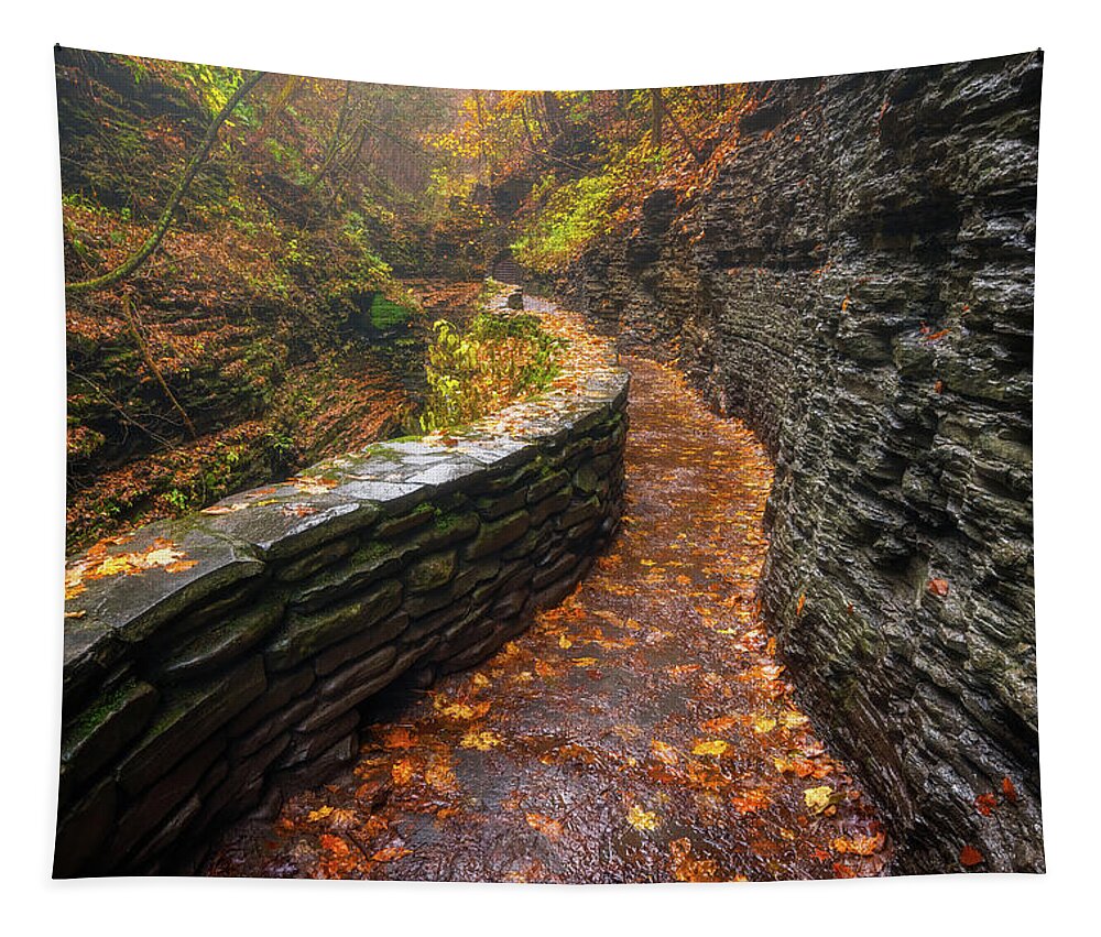 Autumn Colors Tapestry featuring the photograph Autumn's Path by Darren White