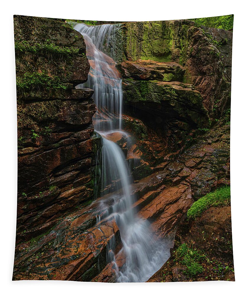 New Hampshire Waterfall Tapestry featuring the photograph Avalanche Falls at Franconia Notch State Park by Juergen Roth