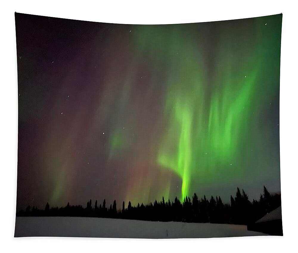 Aurora Tapestry featuring the photograph Awesome Aurora by Barbara Von Pagel