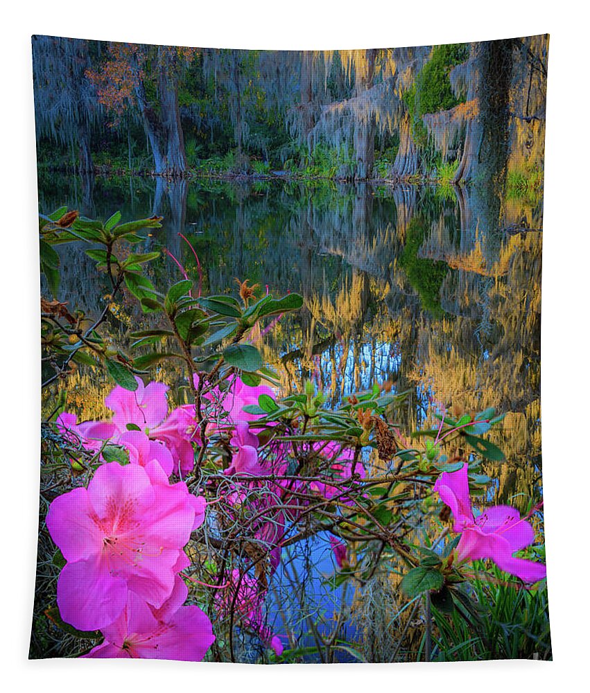 America Tapestry featuring the photograph Azaleas and Cypresses by Inge Johnsson