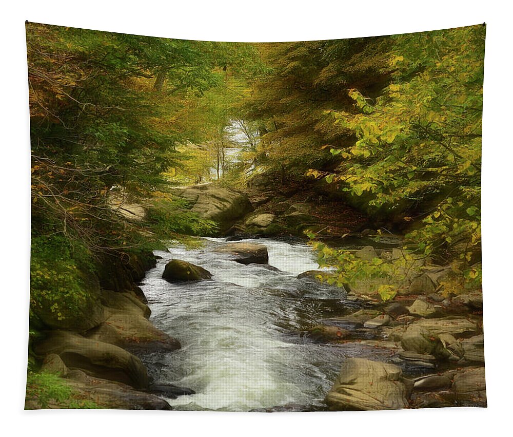 Scenic Tapestry featuring the photograph Babbling Brook In The Woods by Kathy Baccari