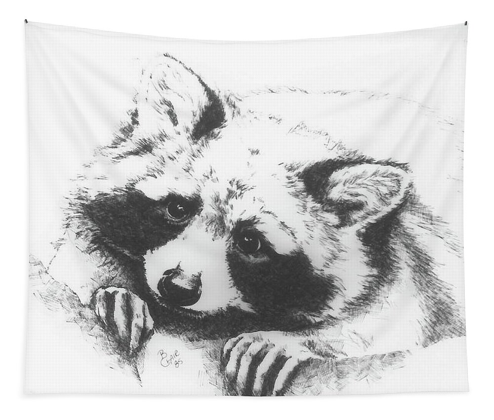 Raccoon Tapestry featuring the drawing Baby Bandit by Barbara Keith
