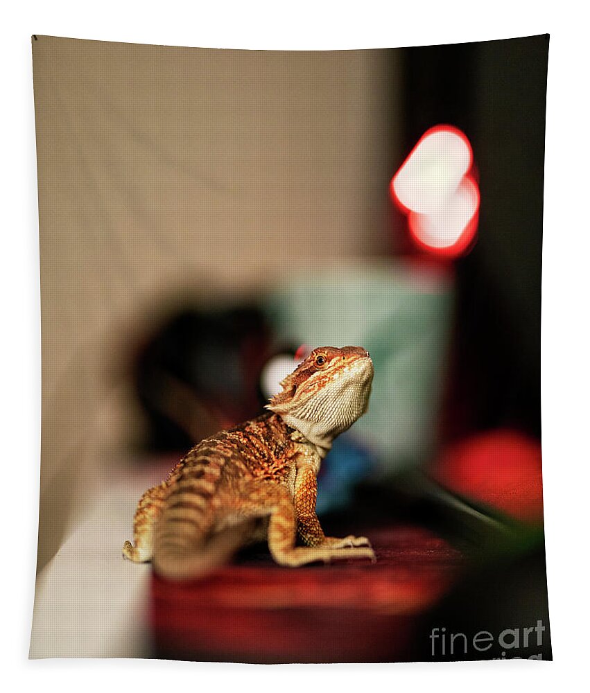 Bearded Dragn Tapestry featuring the photograph Baby bearded dragon on my desk by Mendelex Photography