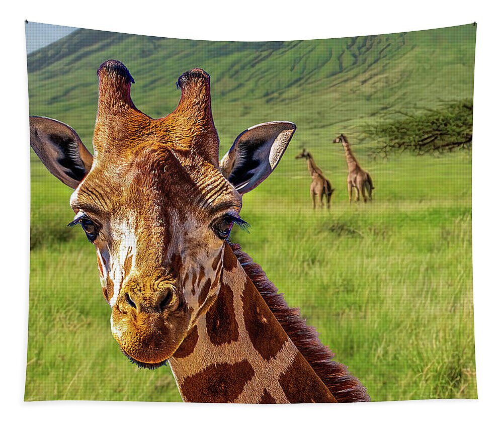 Sedona Tapestry featuring the photograph Baby Giraffe by Al Judge