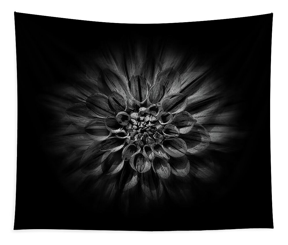 Abstract Tapestry featuring the photograph Backyard Flowers In Black And White 57 Flow Version by Brian Carson