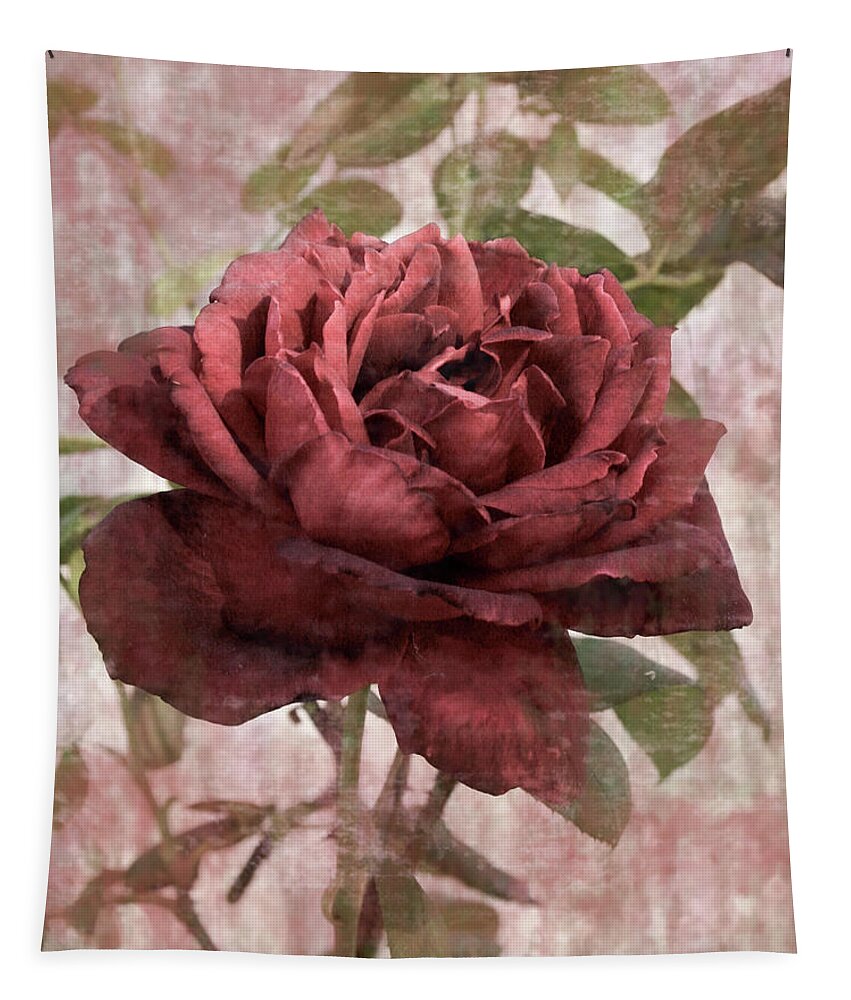 Roses Tapestry featuring the photograph Backyard Rose by Sally Bauer