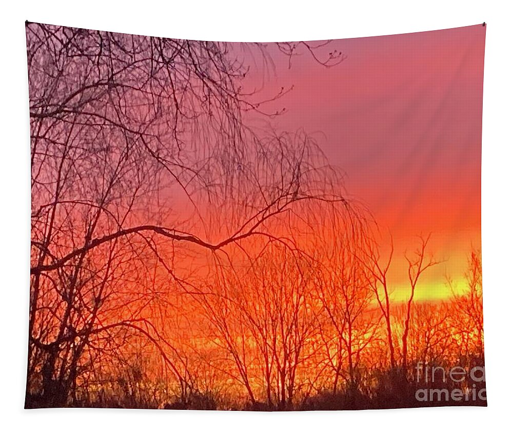  Tapestry featuring the photograph BackyardSkyShow by Mary Kobet
