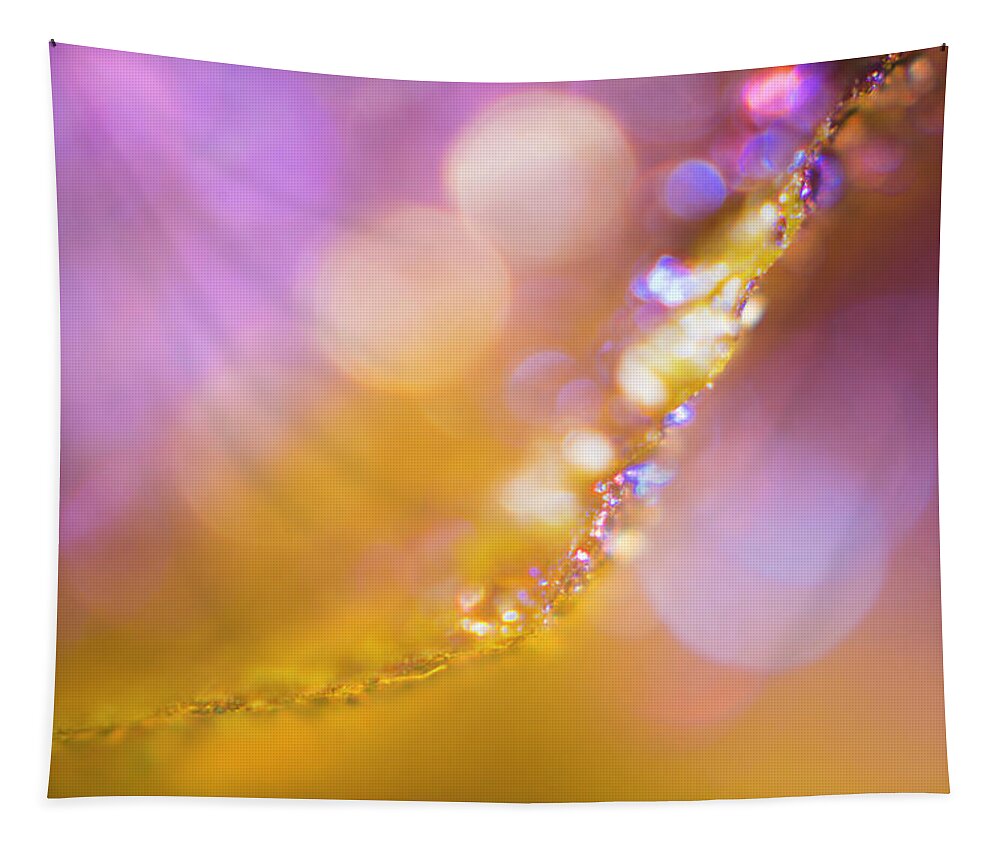 ~design Tapestry featuring the photograph Balance by Maria Dimitrova