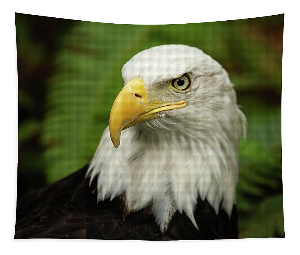 Bald Eagle Tapestry featuring the photograph Bald Eagle by Bob Cournoyer