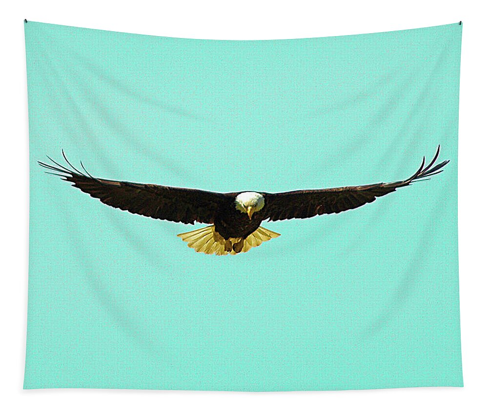 America Tapestry featuring the photograph Bald Eagle On Bright Sky by David Desautel