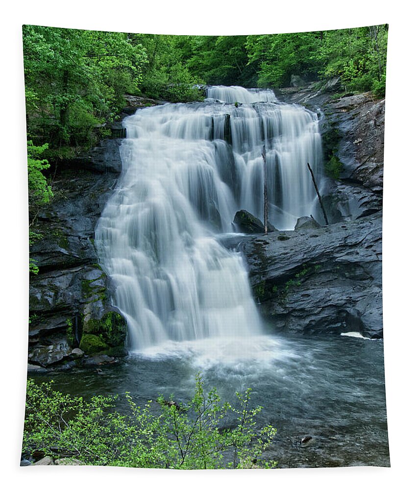 Cherokee National Forest Tapestry featuring the photograph Bald River Falls 41 by Phil Perkins