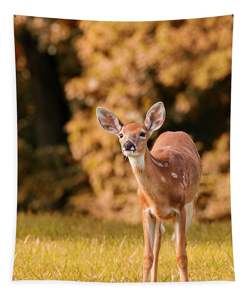 Deer Tapestry featuring the photograph Bambi Followed Me by Bill and Linda Tiepelman