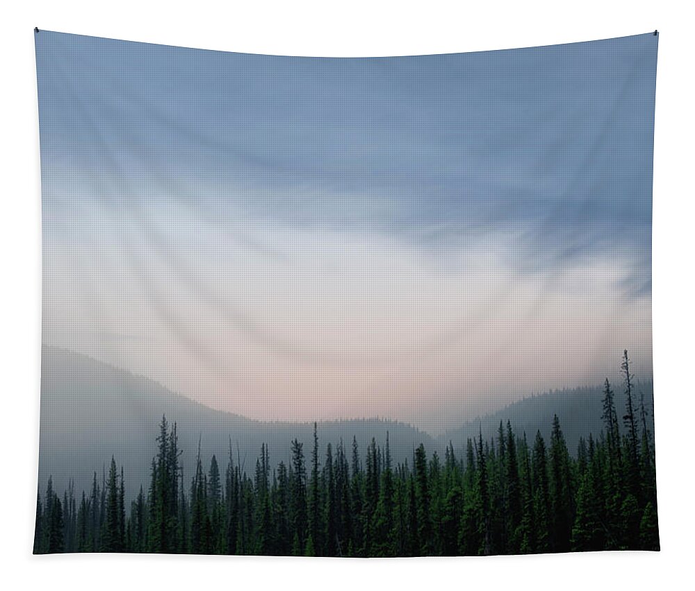 Landscape Tapestry featuring the photograph Banff by Dan Jurak