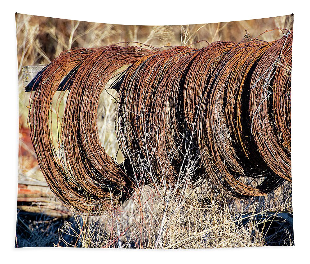 Wire Tapestry featuring the photograph Barbed Wire by Dart Humeston