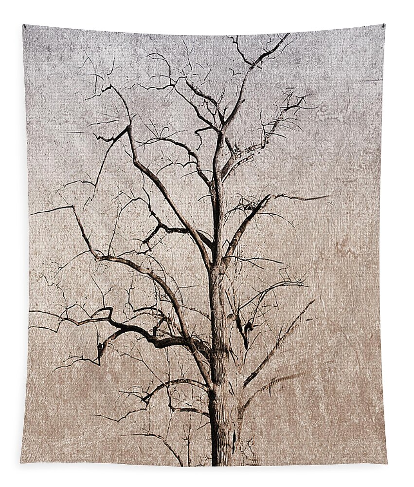 Trees Tapestry featuring the photograph Baring It All by Rene Crystal