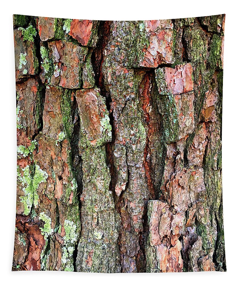 Bark Tapestry featuring the photograph Barking up the Wrong Tree by Bill Swartwout