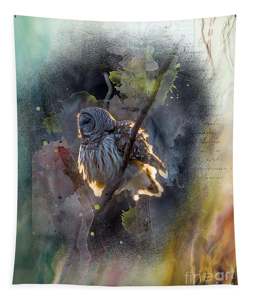 Barred Owl Tapestry featuring the photograph Barred Owl in a Floof after Preening, Backlit Rimmed in a Golden Sunset by Sandra Rust