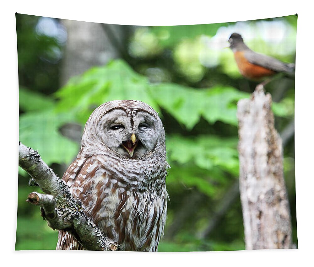 Barred Owl Tapestry featuring the photograph Barred Owl Yawning by Peggy Collins