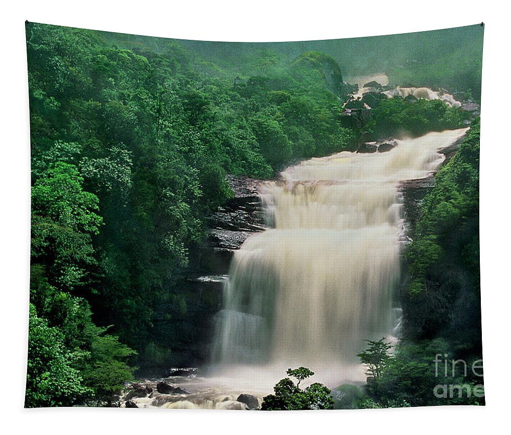 Dave Welling Tapestry featuring the photograph Base Of Angel Falls Canaima National Park Venezuela by Dave Welling