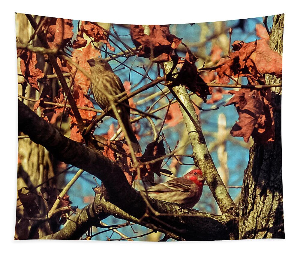 Art Tapestry featuring the photograph Basking In The Sun by Heather Bettis