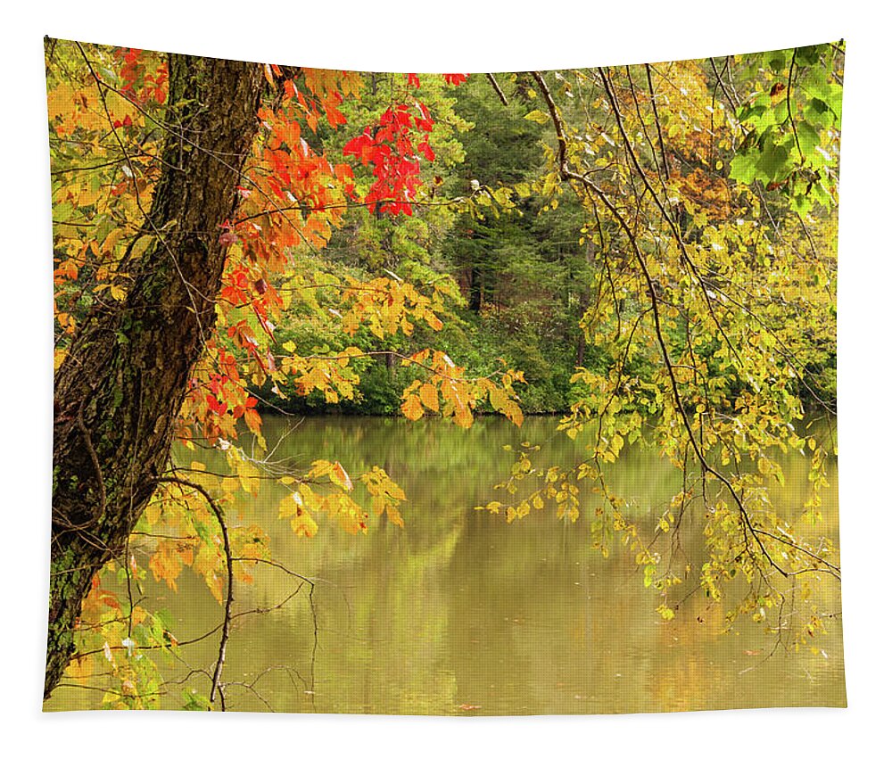 Bass Pond Tapestry featuring the photograph Bass Pond Biltmore Estate by Rob Hemphill