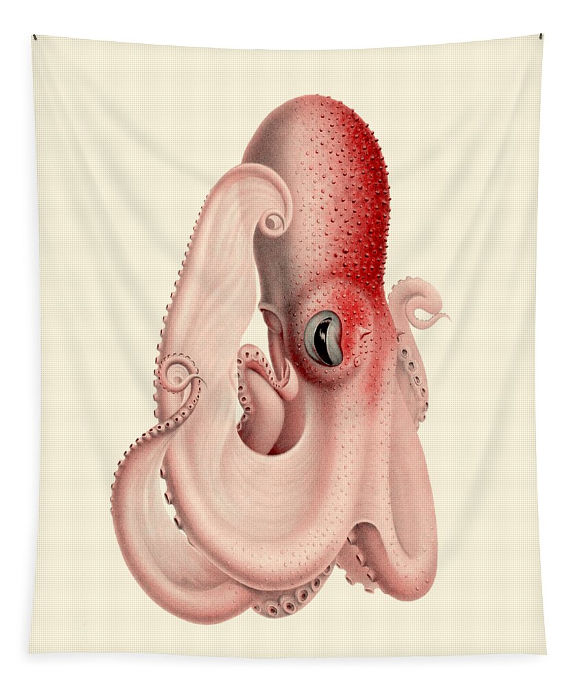 Octopus Tapestry featuring the digital art Bathypolypus octopus by Madame Memento