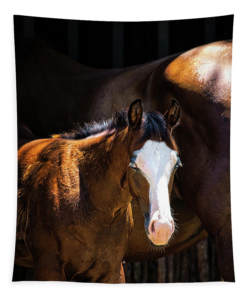 Horse Tapestry featuring the photograph Bay Colt by Rene Vasquez