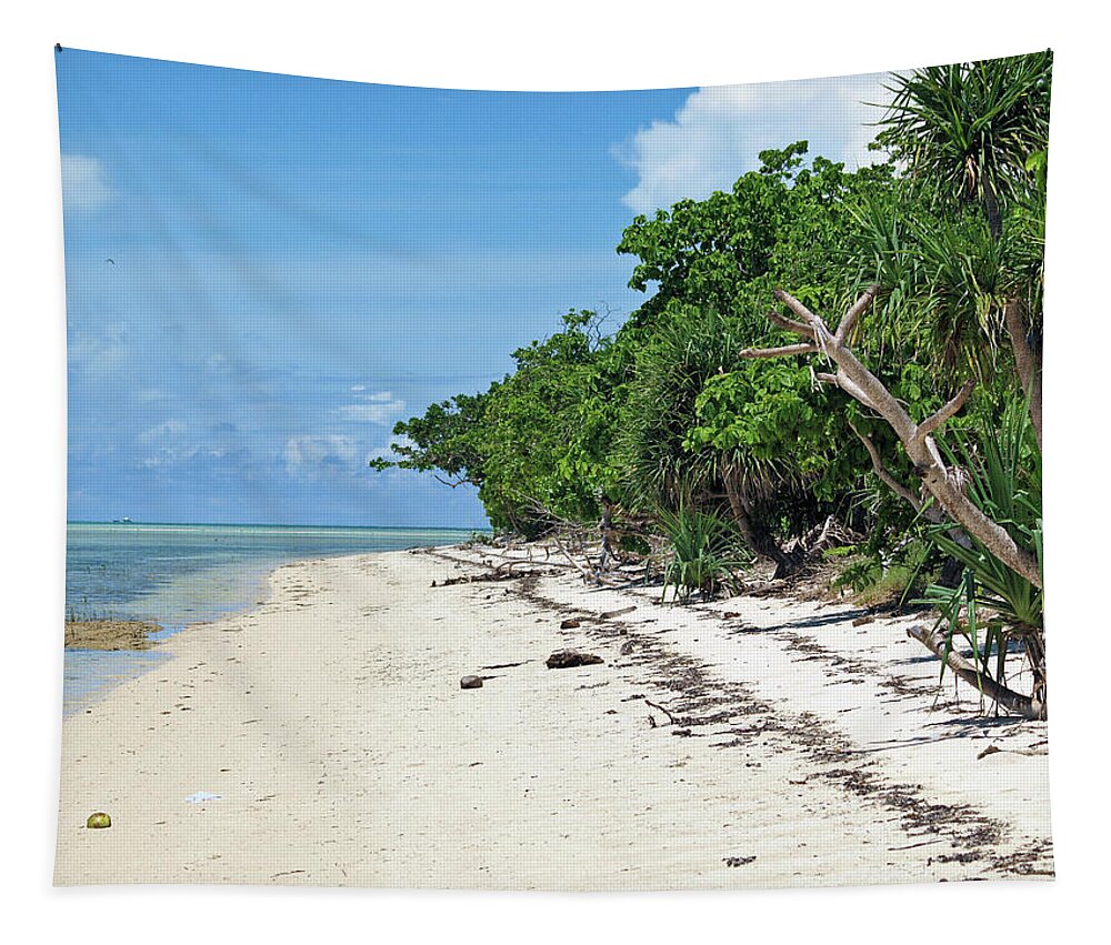 Arreceffi Island Tapestry featuring the photograph Beach of Beauty by David Desautel