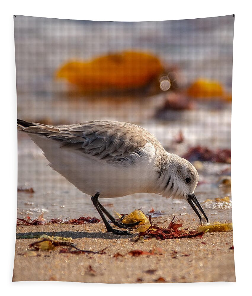Shore Bird Tapestry featuring the photograph Beach Salad by Linda Bonaccorsi