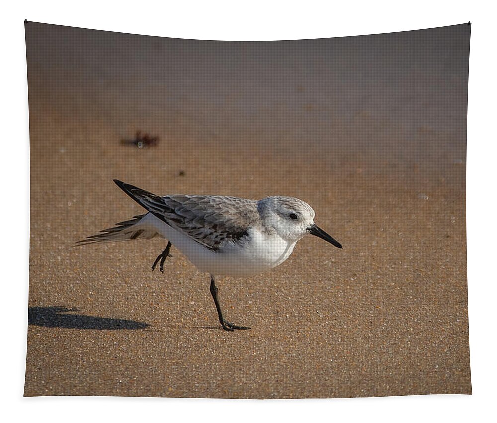 Bird Tapestry featuring the photograph Beach Yoga by Linda Bonaccorsi