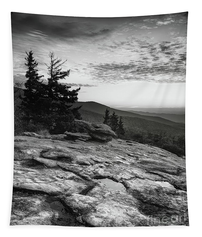 Beacon Heights Tapestry featuring the photograph Beacon Heights in Grayscale by Anthony Heflin