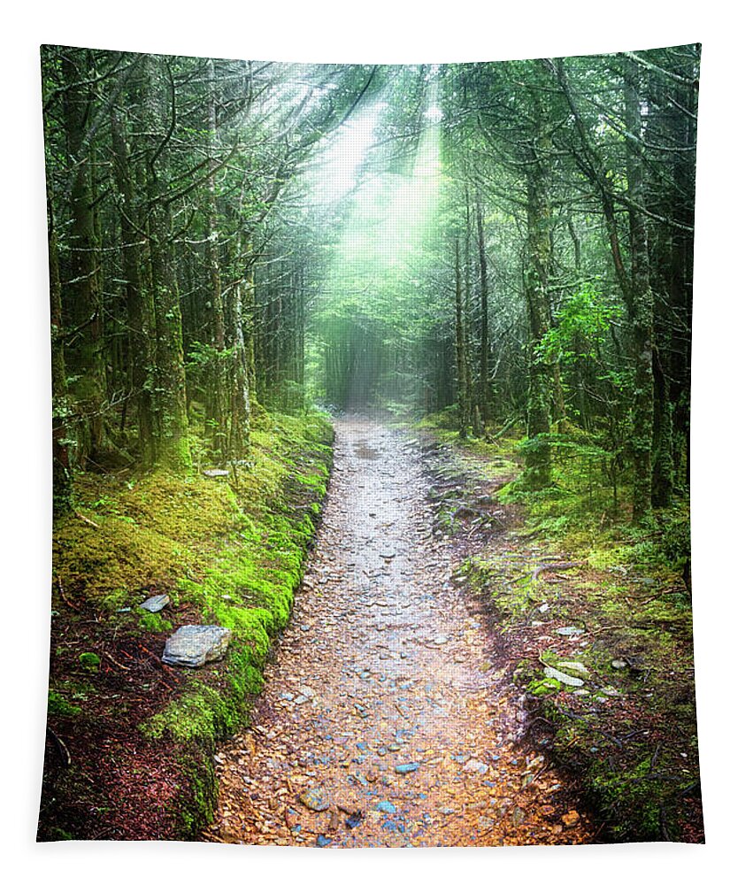 Carolina Tapestry featuring the photograph Beams of Light on the Appalachian Trail by Debra and Dave Vanderlaan