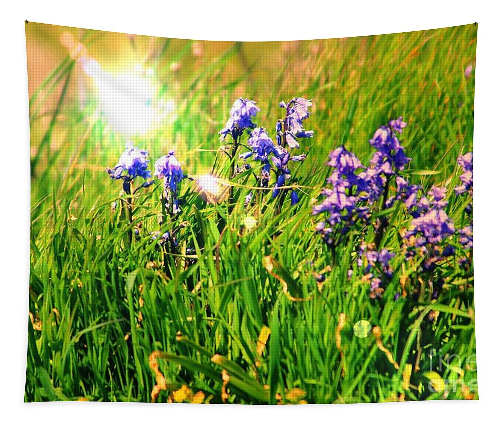 Bluebells Tapestry featuring the photograph Beams On Bluebells by Kimberly Furey