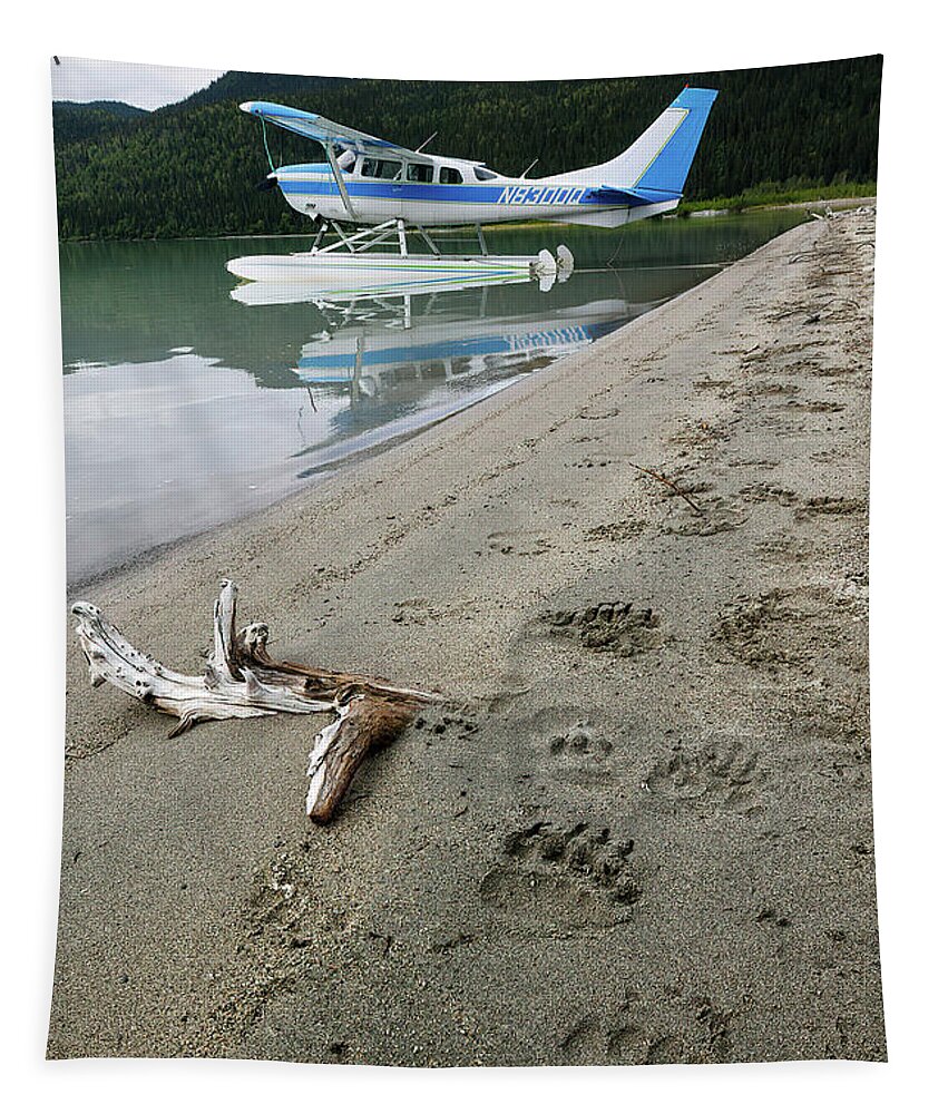 Alaska Tapestry featuring the photograph Bear Tracks in Alaska by Cheryl Strahl