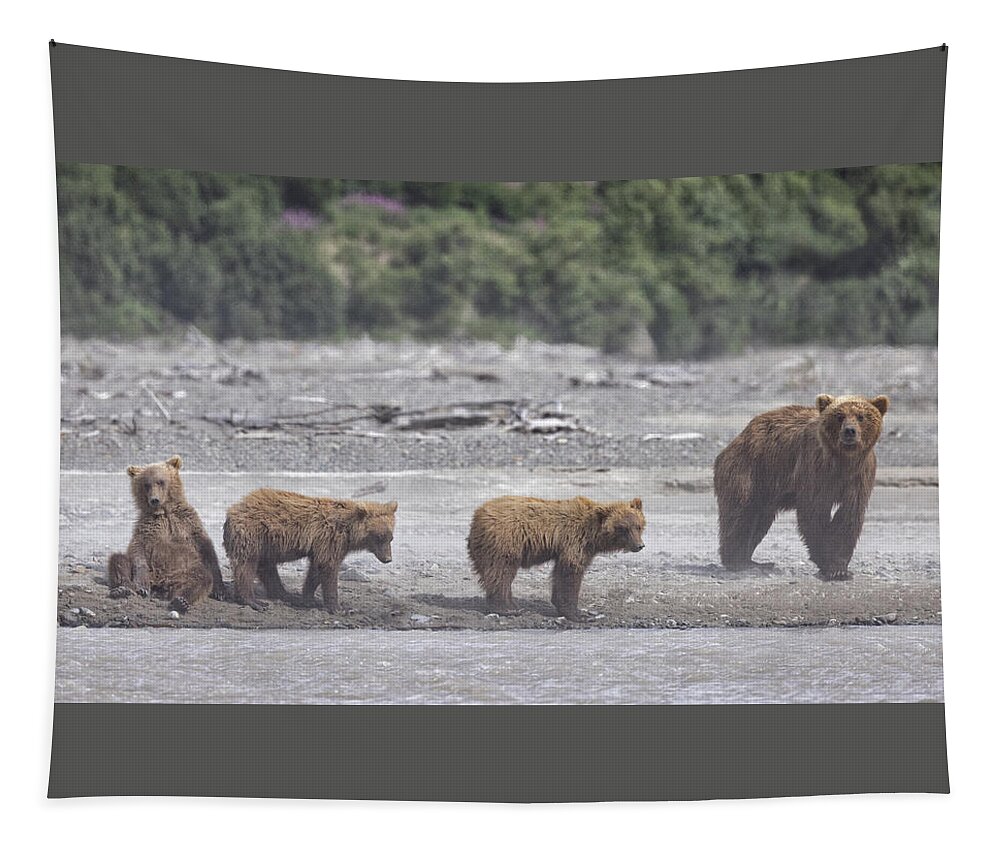 Alaska Tapestry featuring the photograph Bears in a Sandstorm by Cheryl Strahl