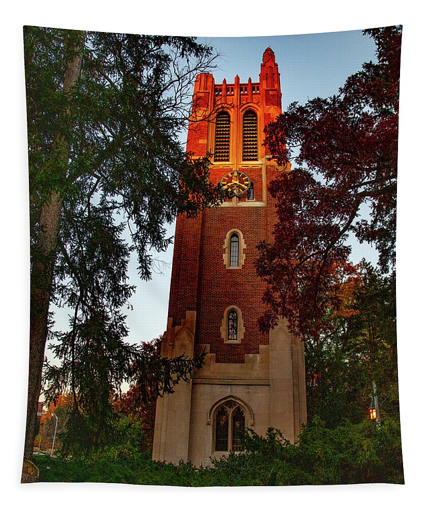 Michigan State University Tapestry featuring the photograph Beaumont Tower on the Michigan State University campus at sunrise by Eldon McGraw