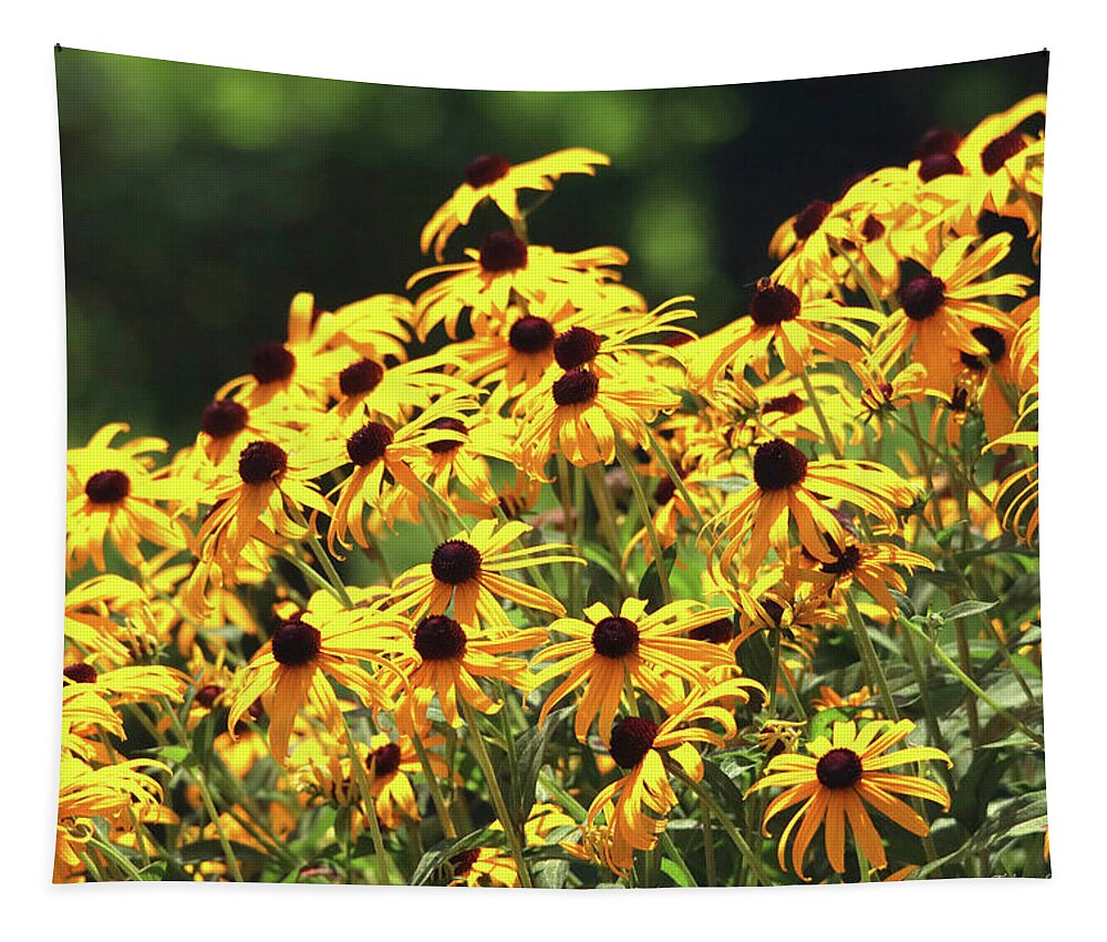 Flowers Tapestry featuring the photograph Beautiful Black-Eyed Susan Flowers by Trina Ansel
