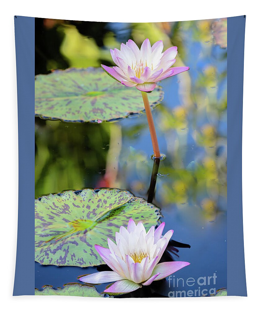 https://render.fineartamerica.com/images/rendered/default/flat/tapestry/images/artworkimages/medium/3/beautiful-lotus-flowers-lily-pads-and-reflections-janice-noto.jpg?&targetx=84&targety=-2&imagewidth=620&imageheight=930&modelwidth=794&modelheight=930&backgroundcolor=526F9D&orientation=0&producttype=tapestry-50-61