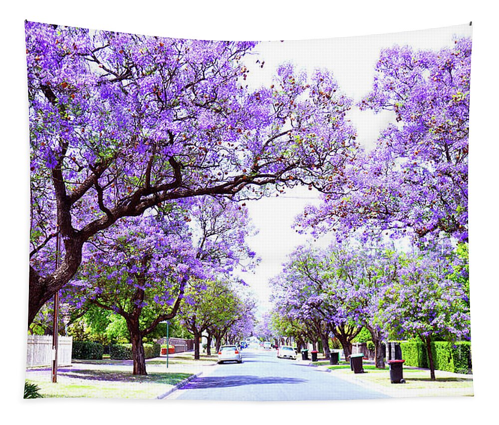Jacaranda Tapestry featuring the photograph Beautiful purple flower Jacaranda tree lined street in full bloom. by Milleflore Images