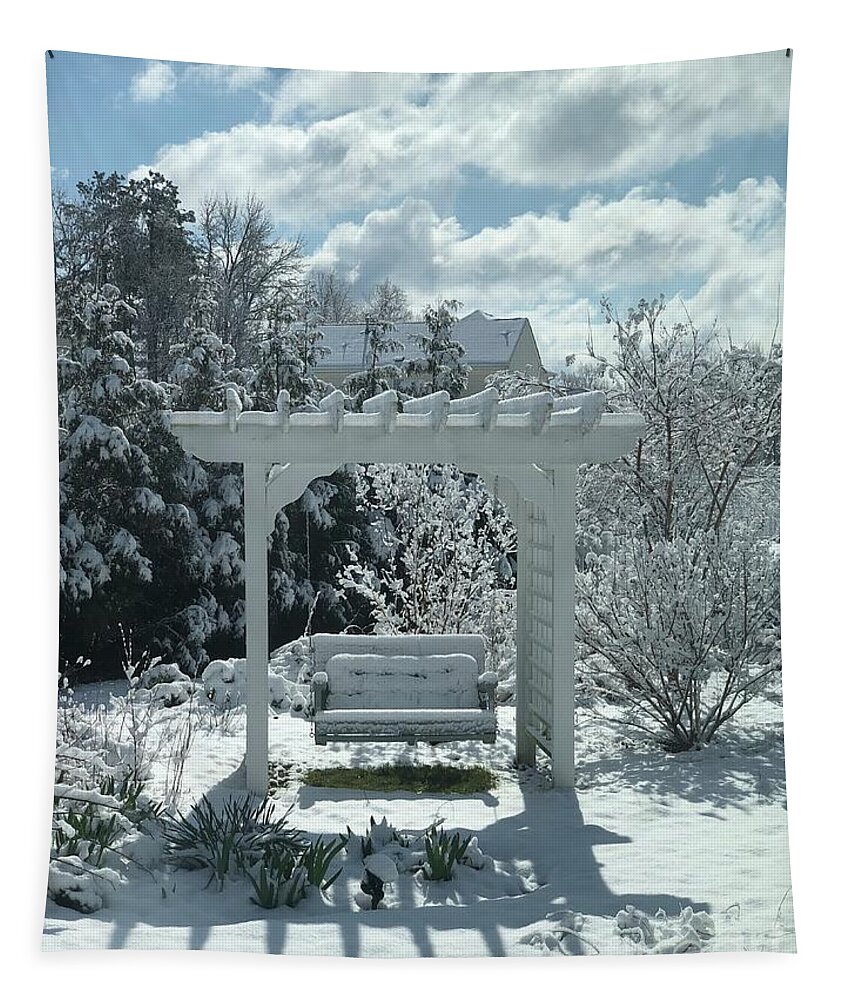 Clayton Tapestry featuring the photograph Snowy Prelude to 2020 in Clayton, North Carolina by Catherine Ludwig Donleycott