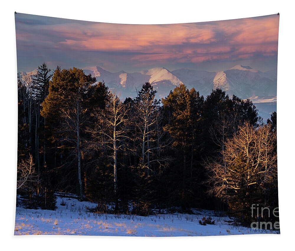 National Forest Tapestry featuring the photograph Beautiful Snowy Sangre de Cristo Mountains by Steven Krull