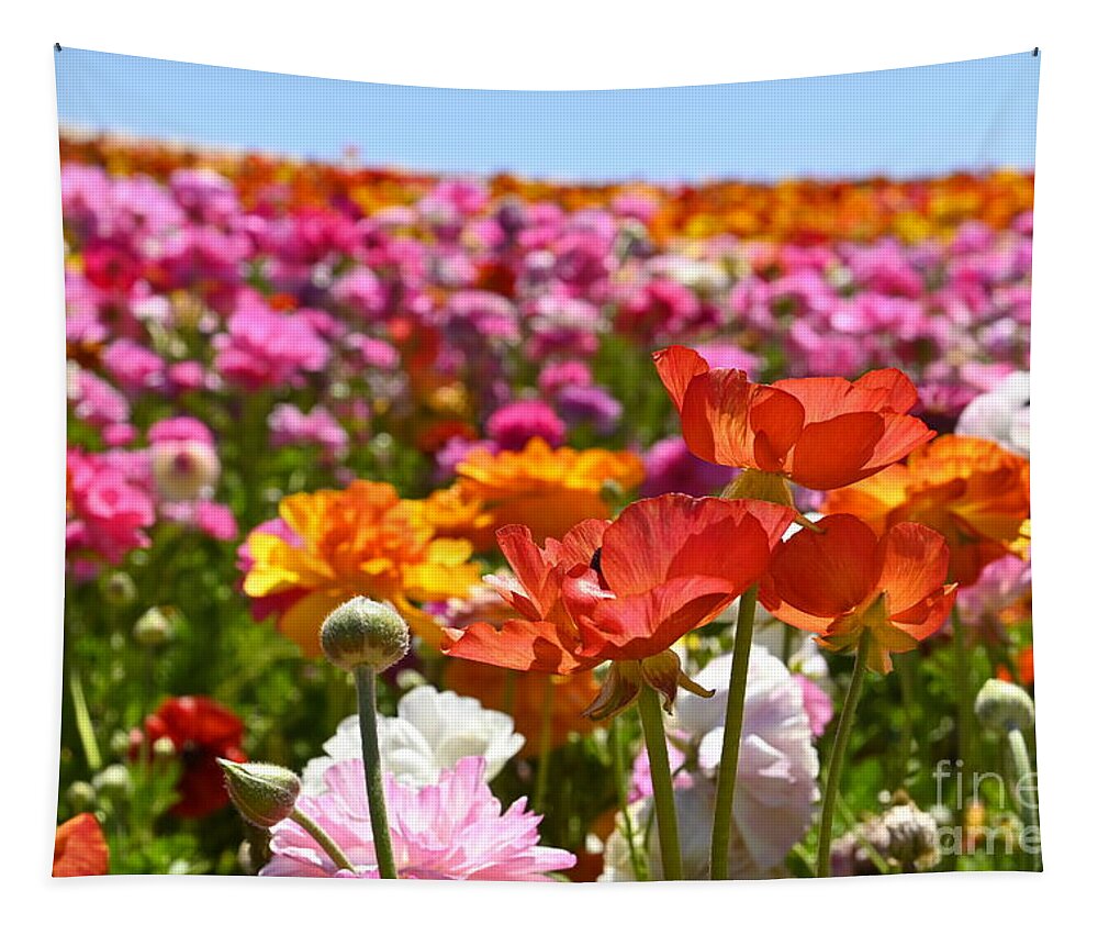 Flowers Tapestry featuring the photograph Beautiful Spring Flowers by Rich Cruse