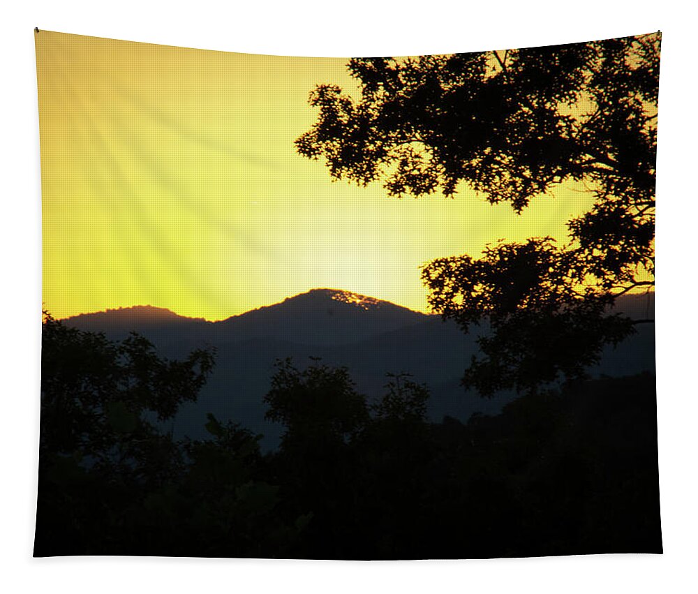 Sunset Tapestry featuring the photograph Beautiful Sunset by Demetrai Johnson