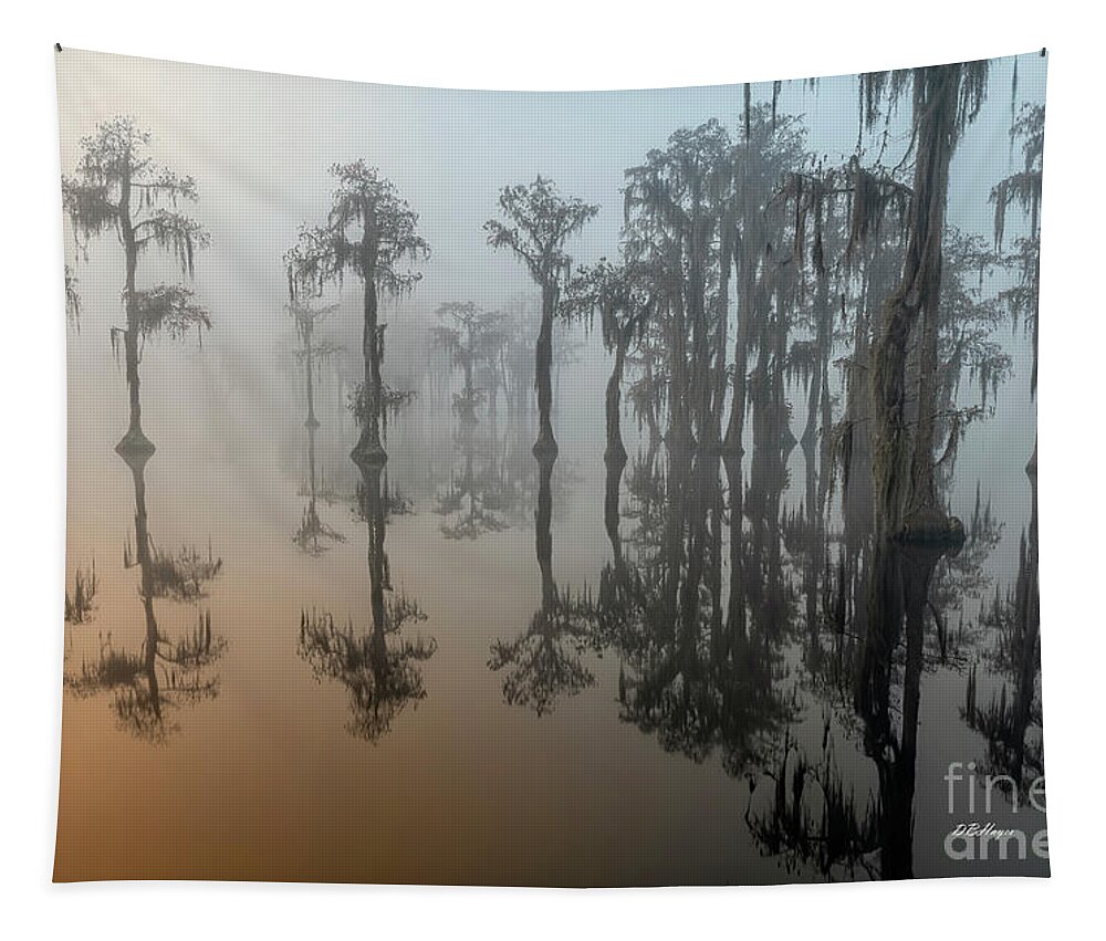 Fog Tapestry featuring the photograph Beauty In The Fog 2 by DB Hayes