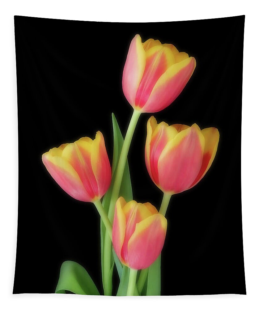 Tulips Tapestry featuring the photograph Beauty Of Four by Johanna Hurmerinta