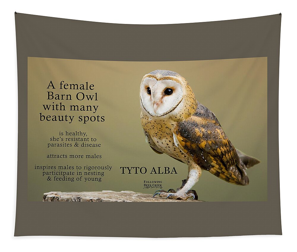 Barn Owl Tapestry featuring the digital art Beauty Spots by Lisa Redfern
