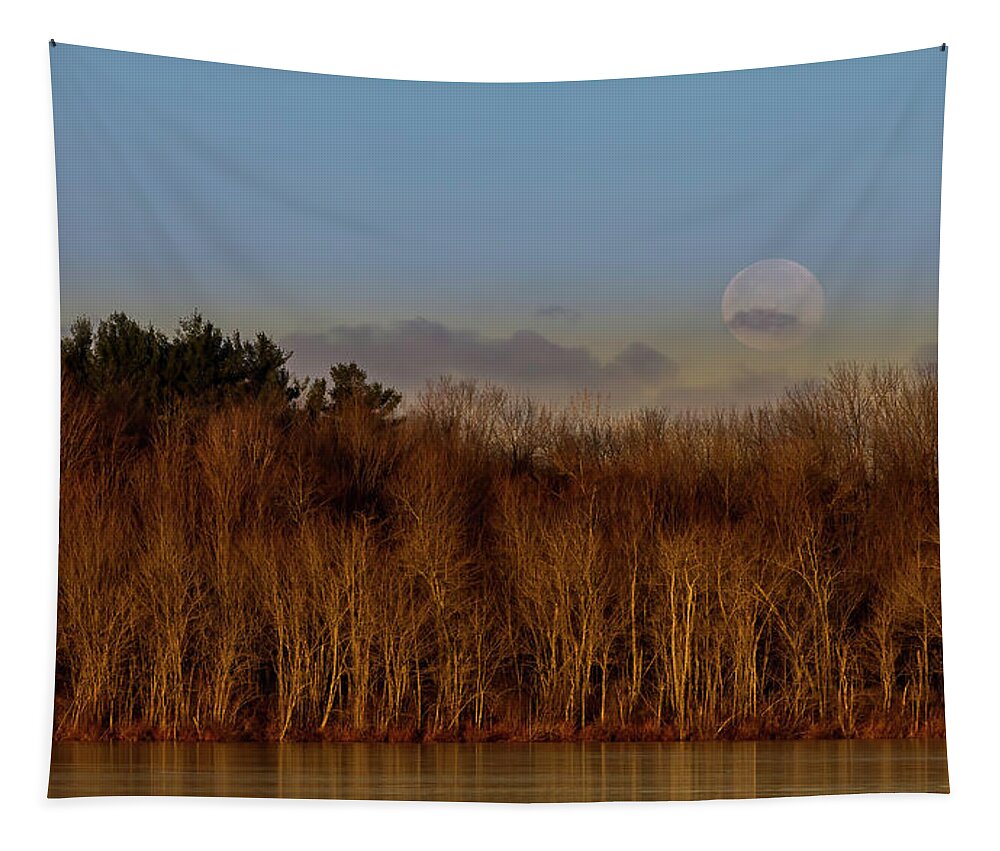 Moon Tapestry featuring the photograph Beaver Lake by Everet Regal