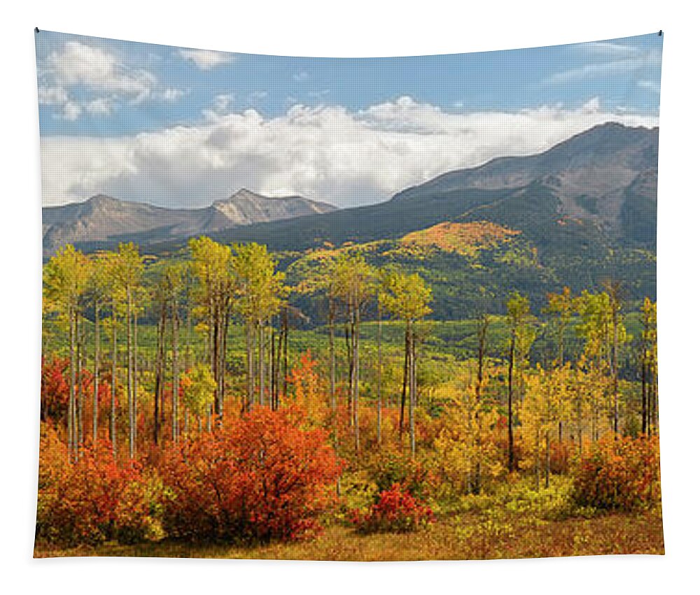 Crested Butte Tapestry featuring the photograph Beckwith Autumn Panorama by Aaron Spong
