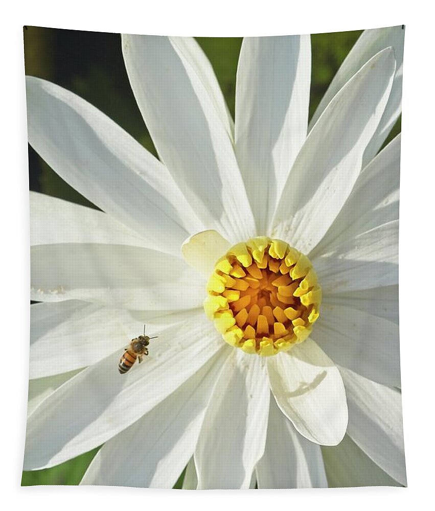 Bee Tapestry featuring the photograph Bee Approach by Paul Rebmann